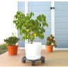Base con ruedita para macetas aluminio premium-2-chapadeco.com