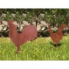 Set gallo + gallina chapa oxido