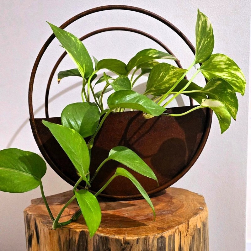 Maceta circular 20cm. oxido-1-chapadeco.com Maceta circular 20cm. oxido-1-chapadeco.com