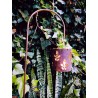Mini fanal calado colgante + pincho gancho 1m hierro-3-chapadeco.com