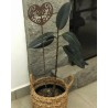 Pincho tutor Corazón mandala Calado chapa oxido