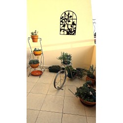 Friso ventana pajarito 60x45cm chapa oxido