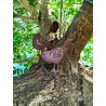 Mini pajarito individual-2-chapadeco.com