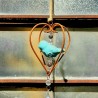 Colgante hierro corazón completo c/pajarito cerámica aqua-4-chapadeco.com