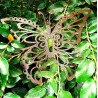 Set X3 mariposas real ocre textura-5-chapadeco.com