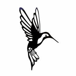 Colibri negro 35x15