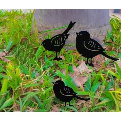 Set x3 mini pajaritos negros-1-chapadeco.com