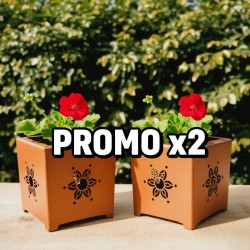 Set x2 Mini maceteros calados