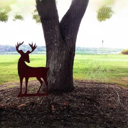 Reno de jardín oxido - 2