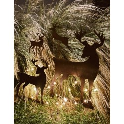 Reno de jardín 130x75 oxido - 2