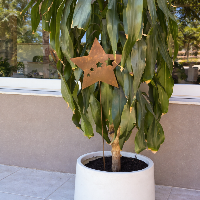 Pincho tutor ESTRELLAS chapa oxido - 1