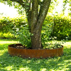 Fleje Aro de acero cubre plantas y arboles 90x20cm. - 1