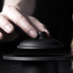 Quemador chimenea bioetanol alcohol Fungo negro - 3