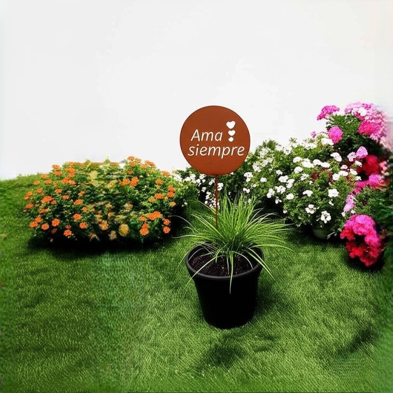 Pincho tutor Ama siempre chapa oxido - 1