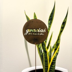 Pincho tutor Gracias 365 días chapa oxido - 1