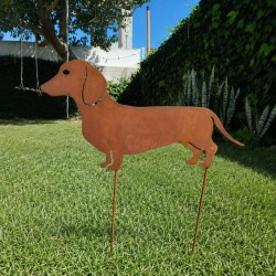 Tutor perro salchicha - 1