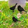 Set x3 mini pajaritos negros - 1
