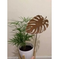 Pincho tutor monstera chapa oxido-3-chapadeco.com